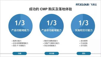 企业云管平台 CMP 项目成功的关键因素